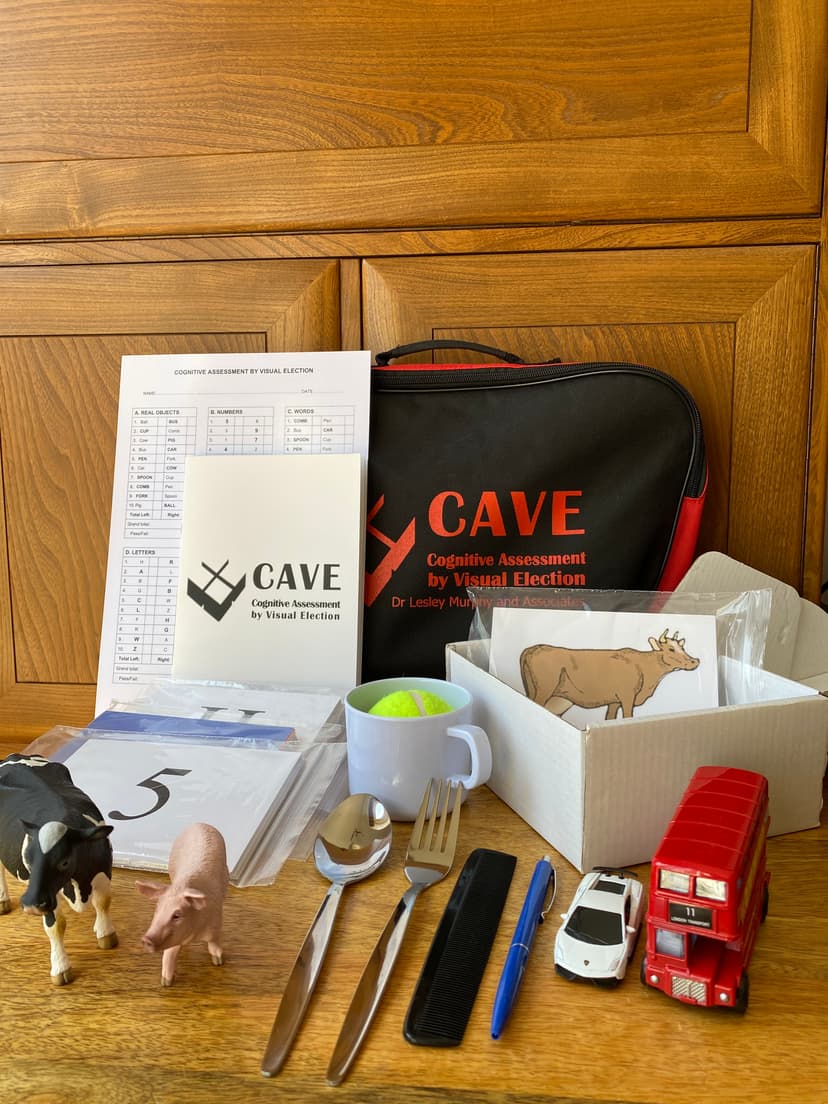 CAVE Test Kit